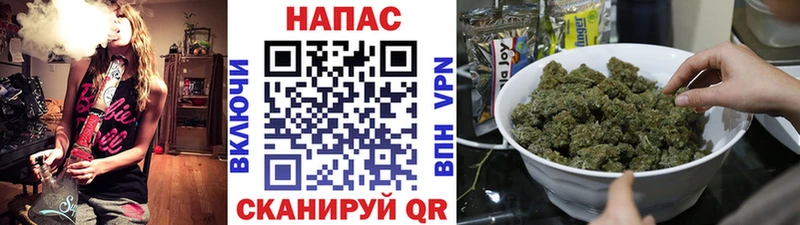 Купить наркоту Перевоз Конопля  Alpha-PVP  Cocaine  ГАШИШ  Псилоцибиновые грибы  Мефедрон 