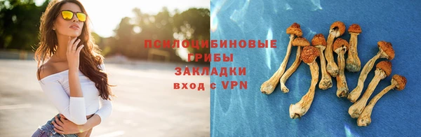 а пвп мука Верхний Тагил