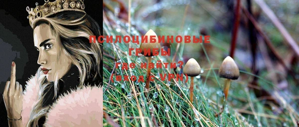 дживик Верея