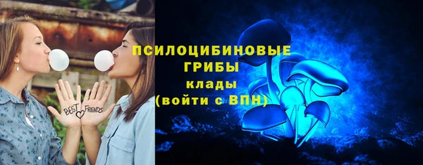 а пвп мука Верхний Тагил
