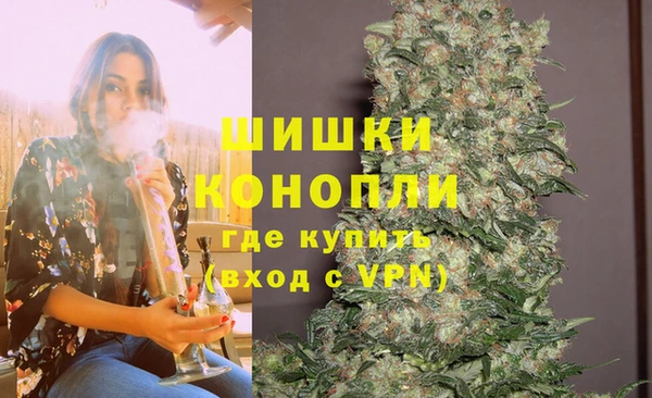 дживик Верея